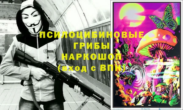 твердый Алексин