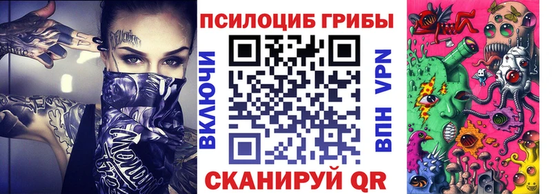 Галлюциногенные грибы Psilocybe  блэк спрут сайт  Карабулак 