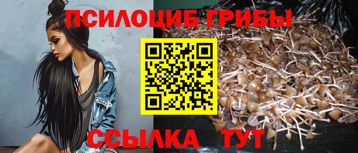 Карабулак  Галлюциногенные грибы ЛСД  Вход с VPN 