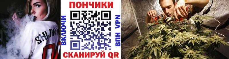 Бошки марихуана гибрид  Карабулак 
